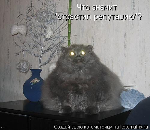 Что значит "отрастил репутацию"?... Котоматрица: Что значит "отрастил репутацию"?