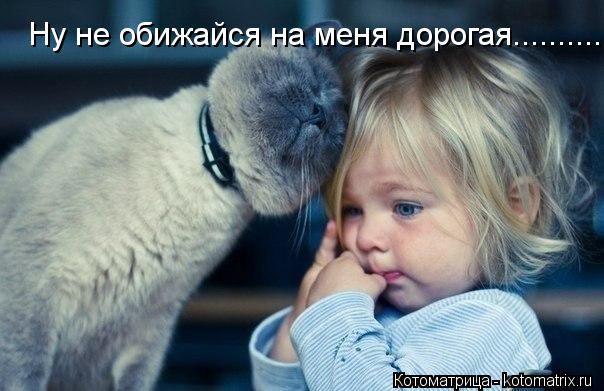 Ну не обижайся на меня дорогая............. Котоматрица: Ну не обижайся на меня дорогая..........
