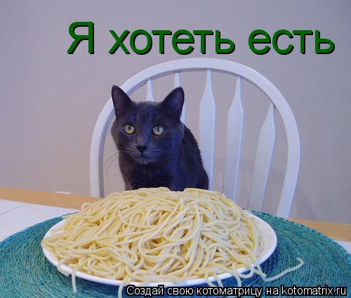 Я хотеть есть... Котоматрица: Я хотеть есть