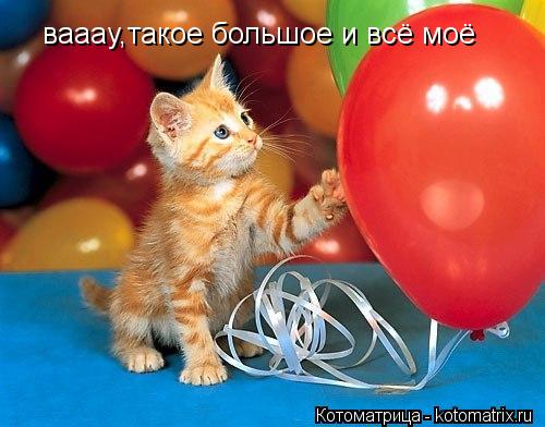 вааау,такое большое и всё моё... Котоматрица: вааау,такое большое и всё моё