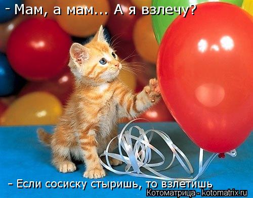 Мам, а мам... А я взлечу? - - Если сосиску стыришь, то взлетишь... Котоматрица: Мам, а мам... А я взлечу? - - Если сосиску стыришь, то взлетишь