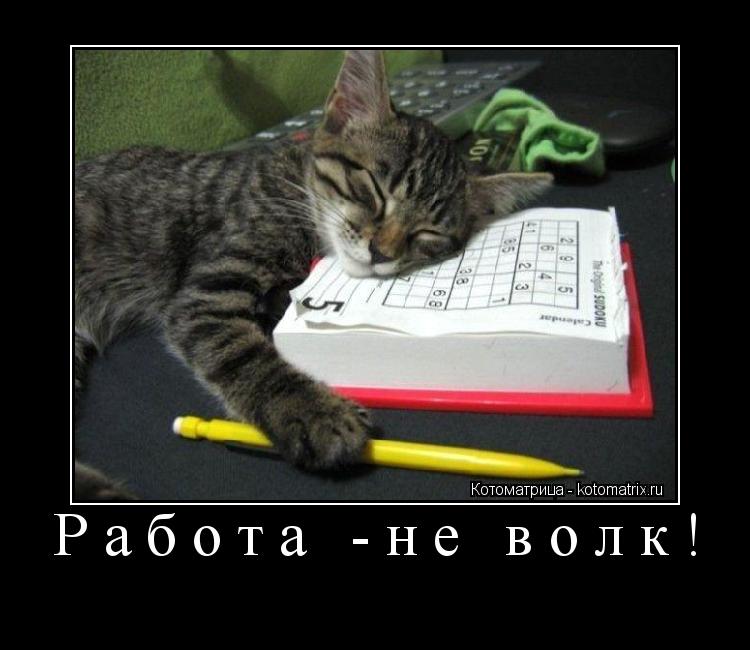 Работа -не волк! ... Котоматрица: Работа -не волк!