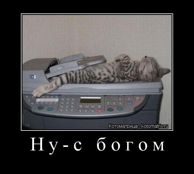 Ну-с богом ... Котоматрица: Ну-с богом