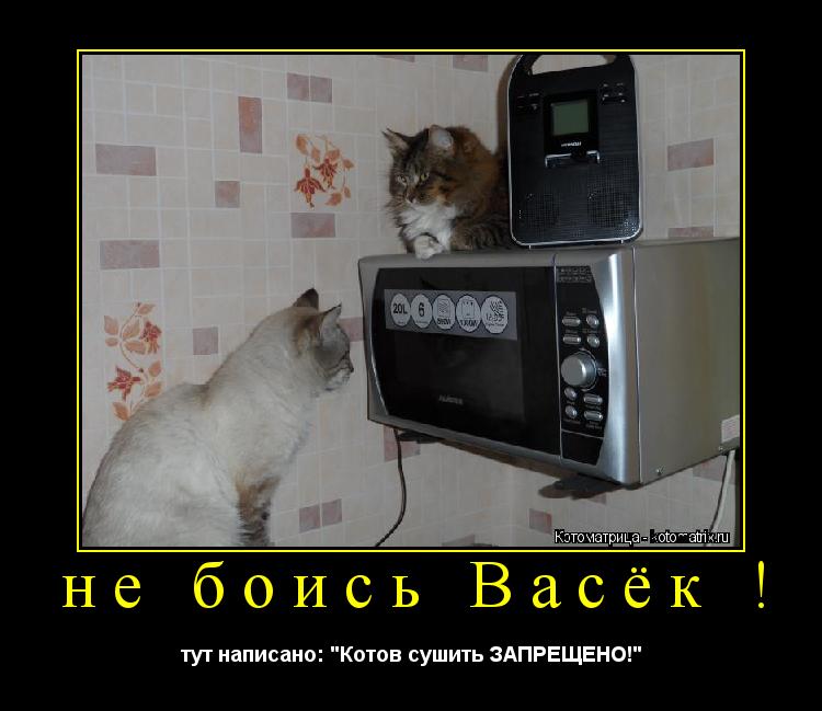 не боись Васёк ! тут написано: "Котов сушить ЗАПРЕЩЕНО!"... Котоматрица: не боись Васёк ! тут написано: "Котов сушить ЗАПРЕЩЕНО!"