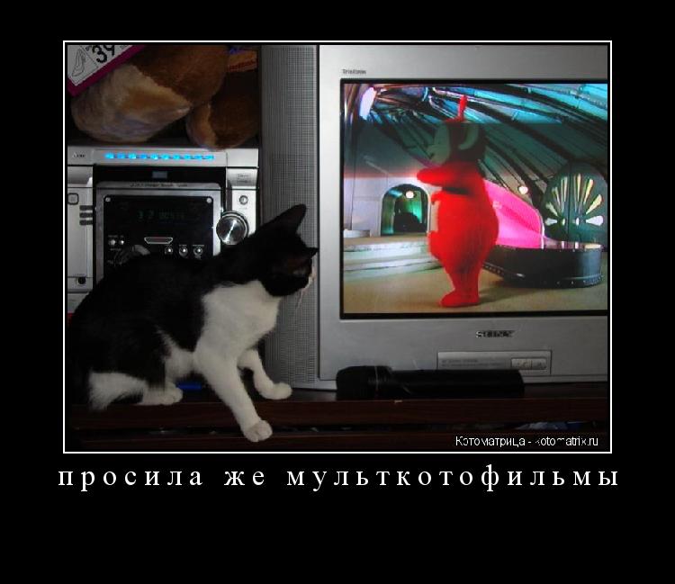 просила же мульткотофильмы ... Котоматрица: просила же мульткотофильмы