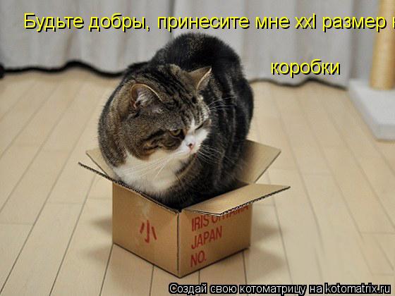 Будьте добры, принесите мне xxl размер Будьте добры, принесите мне xxl размер коробки Будьте добры, ... Котоматрица: Будьте добры, принесите мне xxl размер Будьте добры, принесите мне xxl размер коробки Будьте добры, принесите мне xxl размер коробки коробки