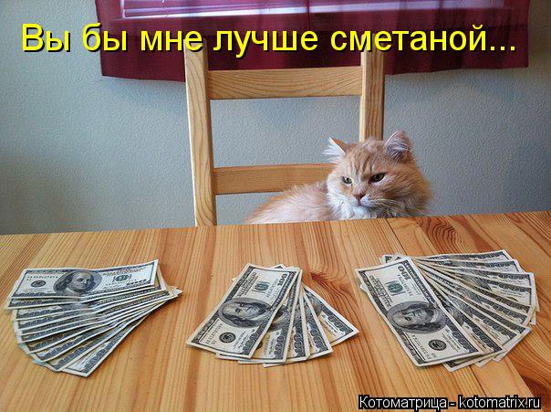 Котоматрица: Вы бы мне лучше сметаной...