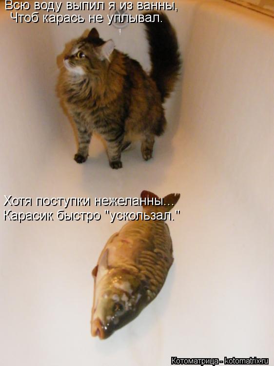 Всю воду выпил я из ванны, Чтоб карась не уплывал. Хотя поступки нежеланны... Карасик быстро "ускольз... Котоматрица: Всю воду выпил я из ванны, Чтоб карась не уплывал. Хотя поступки нежеланны... Карасик быстро "ускользал."