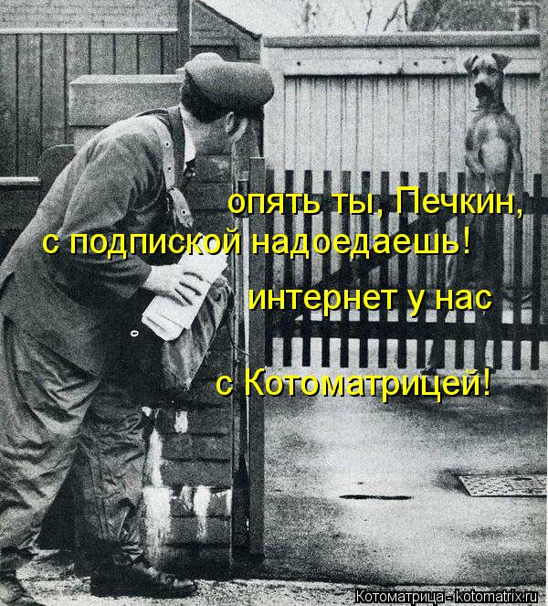 Котоматрица: опять ты, Печкин, с подпиской надоедаешь! интернет у нас с Котоматрицей!