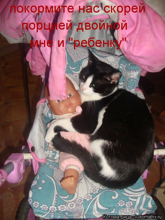 Котоматрица: покормите нас скорей порцией двойной мне и "ребенку"