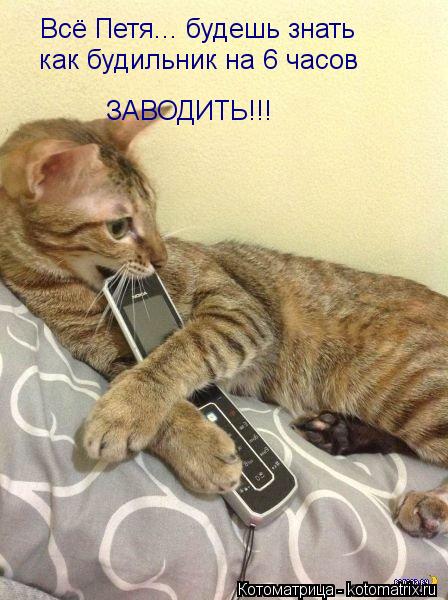 Котоматрица: Всё Петя... будешь знать  как будильник на 6 часов  ЗАВОДИТЬ!!!
