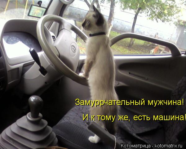 Замуррчательный мужчина! И к тому же, есть машина! И к тому же, есть машина!... Котоматрица: Замуррчательный мужчина! И к тому же, есть машина! И к тому же, есть машина!