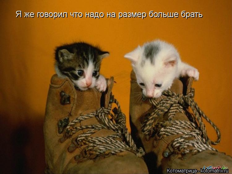 Я же говорил что надо на размер больше брать... Котоматрица: Я же говорил что надо на размер больше брать