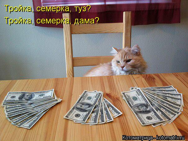 Тройка, семерка, туз? Тройка, семерка, дама?... Котоматрица: Тройка, семерка, туз? Тройка, семерка, дама?
