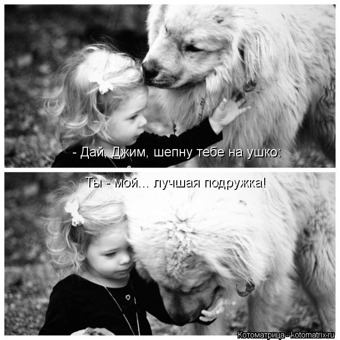Котоматрица: - Дай, Джим, шепну тебе на ушко: Ты - мой... лучшая подружка!