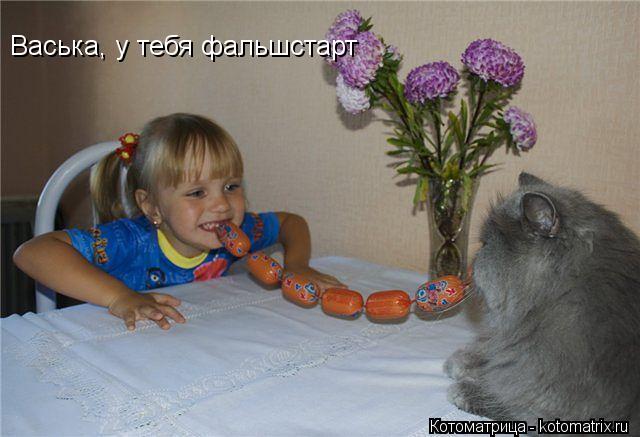 Васька, у тебя фальшстарт... Котоматрица: Васька, у тебя фальшстарт