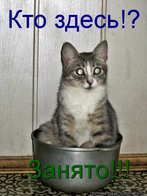 Котоматрица: Кто здесь!? Занято!!!