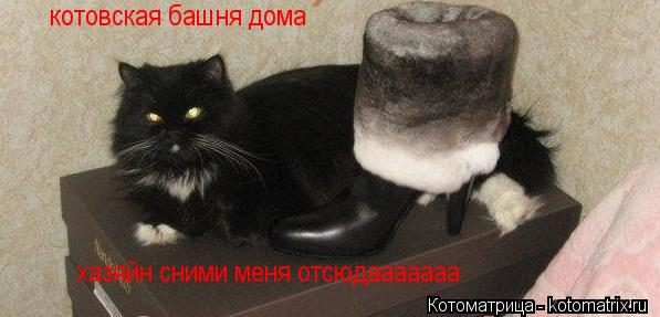 котовская башня дома хазяйн сними меня отсюдааааааа... Котоматрица: котовская башня дома хазяйн сними меня отсюдааааааа