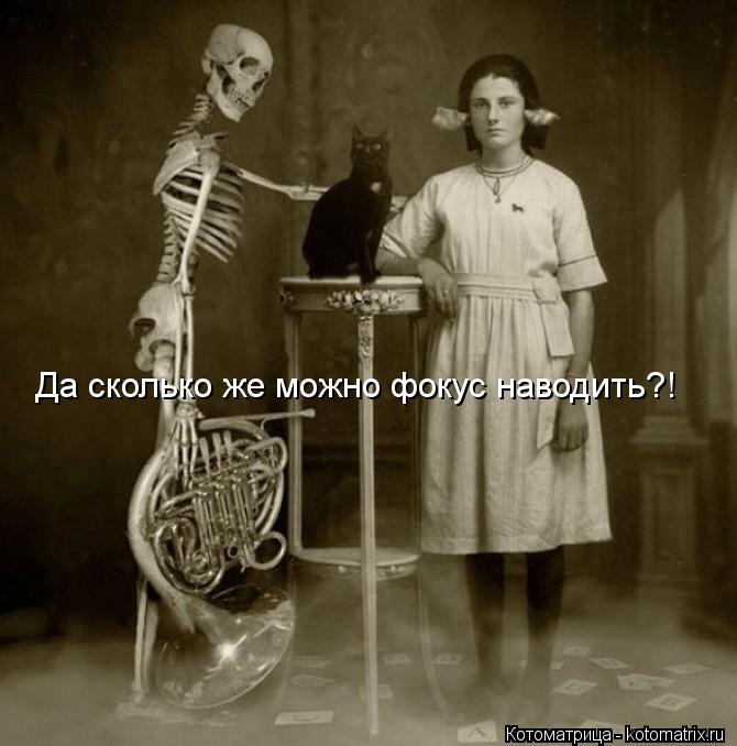 Да сколько же можно фокус наводить?!... Котоматрица: Да сколько же можно фокус наводить?!
