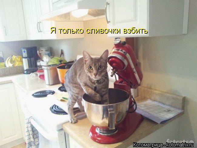 Я только сливочки взбить... Котоматрица: Я только сливочки взбить