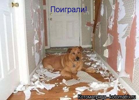 Поиграли!... Котоматрица: Поиграли!