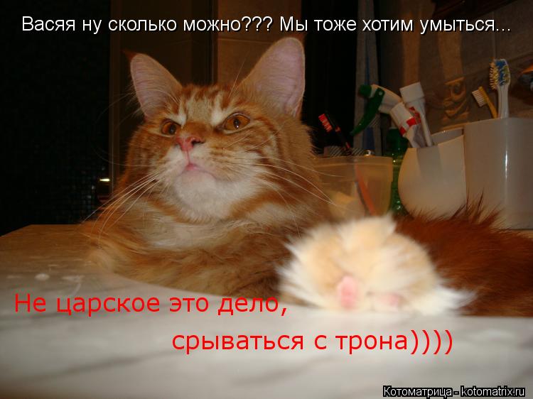Котоматрица: Васяя ну сколько можно??? Мы тоже хотим умыться... Не царское это дело, срываться с трона Не царское это дело,  срываться с трона))))
