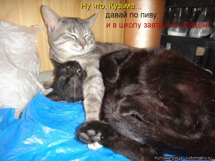 Ну что, Кузьма... давай по пиву и в школу завтра не пойдем!... Котоматрица: Ну что, Кузьма... давай по пиву и в школу завтра не пойдем!