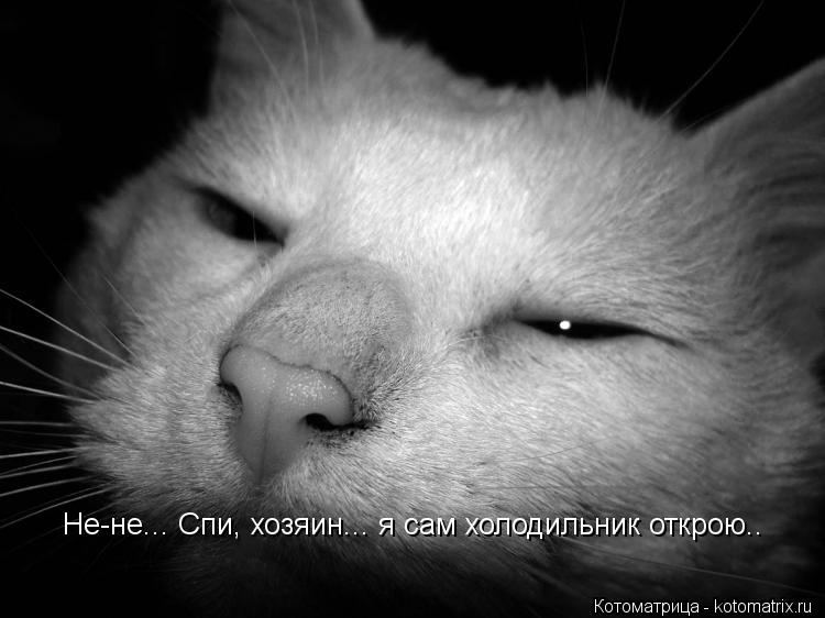 Не-не... Спи, хозяин... я сам холодильник открою..... Котоматрица: Не-не... Спи, хозяин... я сам холодильник открою..