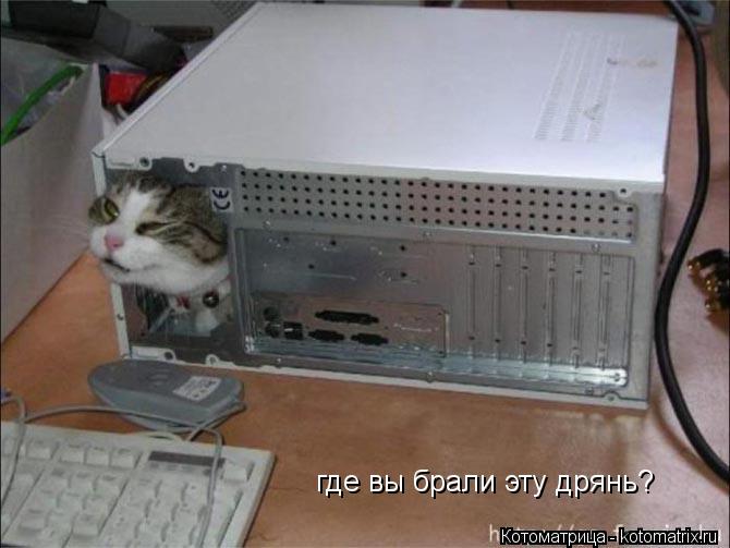 где вы брали эту дрянь?... Котоматрица: где вы брали эту дрянь?