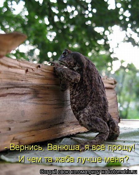 - Вернись, Ванюша, я всё прощу! И чем та жаба лучше меня?... Котоматрица: - Вернись, Ванюша, я всё прощу! И чем та жаба лучше меня?