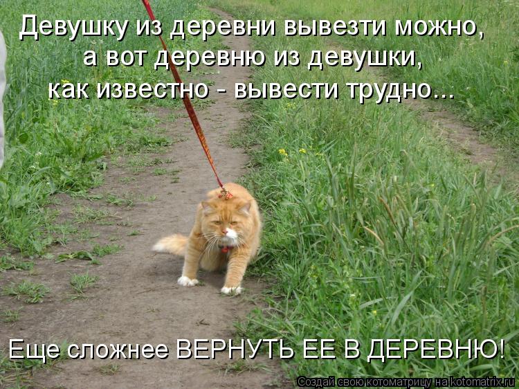 Девушку из деревни вывезти можно, а вот деревню из девушки, как известно - вывести трудно... Еще сло... Котоматрица: Девушку из деревни вывезти можно, а вот деревню из девушки, как известно - вывести трудно... Еще сложнее ВЕРНУТЬ ЕЕ В ДЕРЕВНЮ!