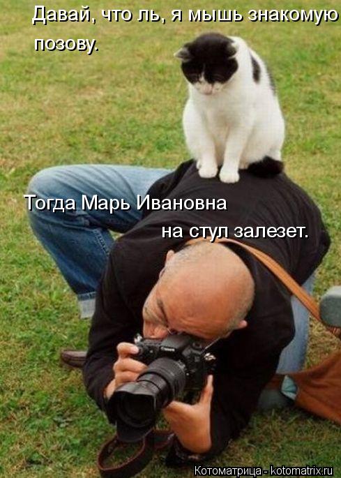 Котоматрица: Давай, что ль, я мышь знакомую позову. Тогда Марь Ивановна на стул залезет.
