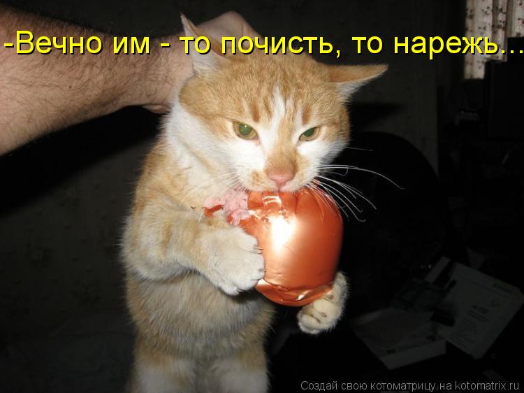 -Вечно им - то почисть, то нарежь....... Котоматрица: -Вечно им - то почисть, то нарежь....
