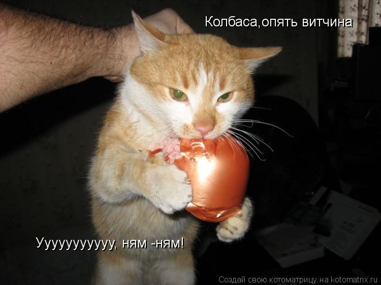 Колбаса,опять витчина Ууууууууууу, ням -ням!... Котоматрица: Колбаса,опять витчина Ууууууууууу, ням -ням!