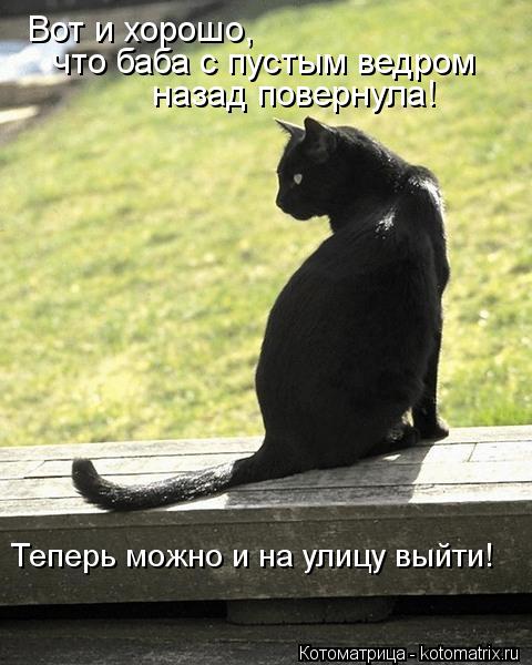 Вот и хорошо, что баба с пустым ведром назад повернула! Теперь можно и на улицу выйти!... Котоматрица: Вот и хорошо, что баба с пустым ведром назад повернула! Теперь можно и на улицу выйти!