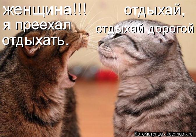 женщина!!! я преехал отдыхать. отдыхай, отдыхай дорогой... Котоматрица: женщина!!! я преехал отдыхать. отдыхай, отдыхай дорогой