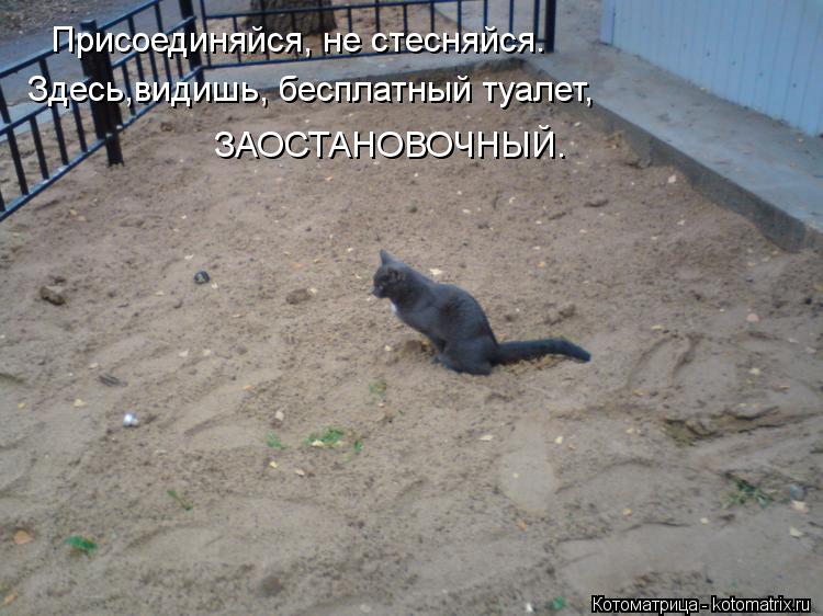 Присоединяйся, не стесняйся. Здесь,видишь, бесплатный туалет, ЗАОСТАНОВОЧНЫЙ.... Котоматрица: Присоединяйся, не стесняйся. Здесь,видишь, бесплатный туалет, ЗАОСТАНОВОЧНЫЙ.