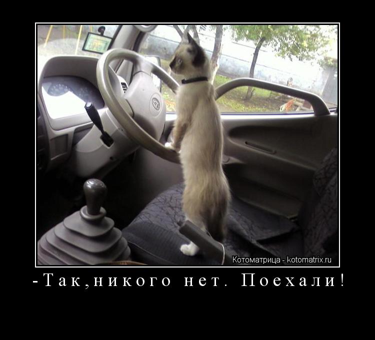 -Так,никого нет. Поехали! ... Котоматрица: -Так,никого нет. Поехали!