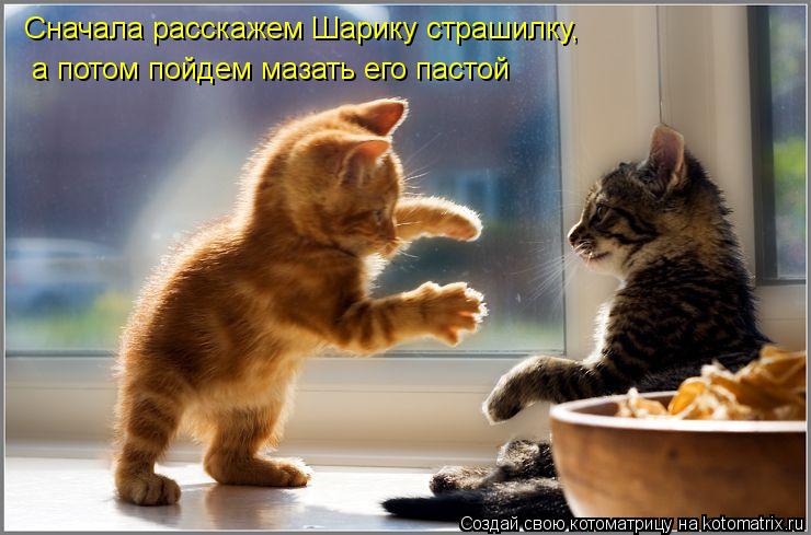 Сначала расскажем Шарику страшилку, а потом пойдем мазать его пастой... Котоматрица: Сначала расскажем Шарику страшилку, а потом пойдем мазать его пастой