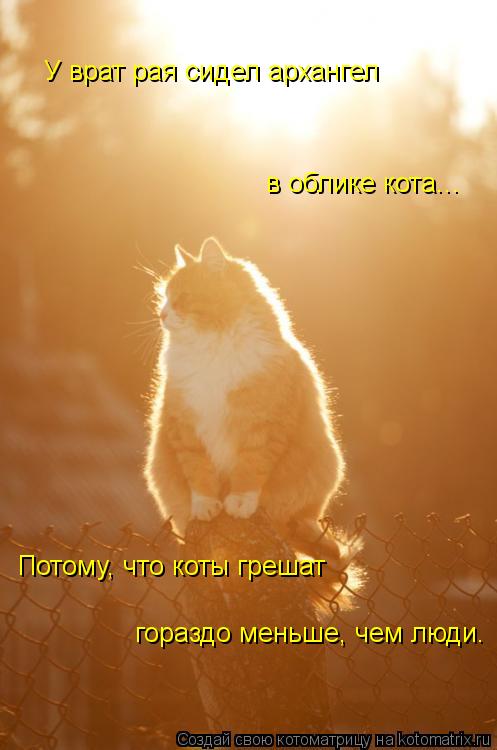 У врат рая сидел архангел в облике кота... Потому, что коты грешат гораздо меньше, чем люди.... Котоматрица: У врат рая сидел архангел в облике кота... Потому, что коты грешат гораздо меньше, чем люди.