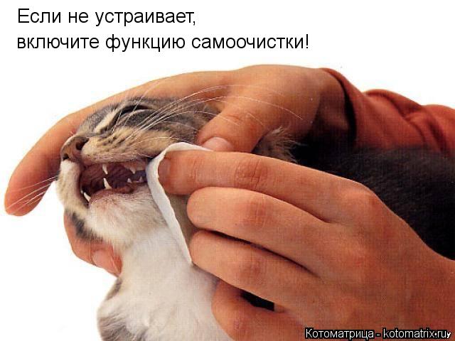 Если не устраивает, включите функцию самоочистки!... Котоматрица: Если не устраивает, включите функцию самоочистки!