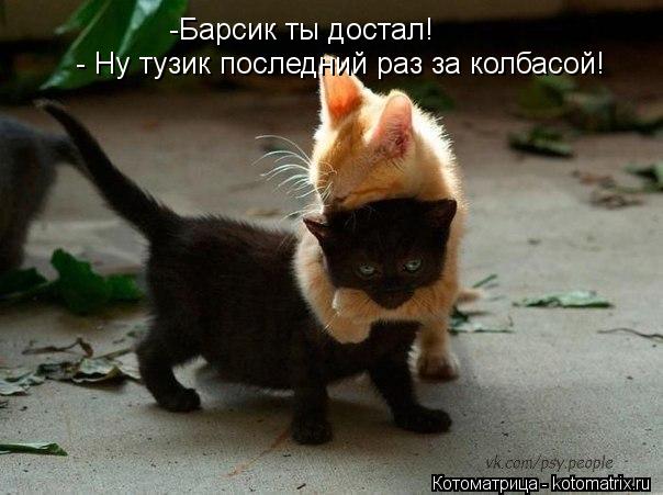 -Барсик ты достал! - Ну тузик последний раз за колбасой!... Котоматрица: -Барсик ты достал! - Ну тузик последний раз за колбасой!