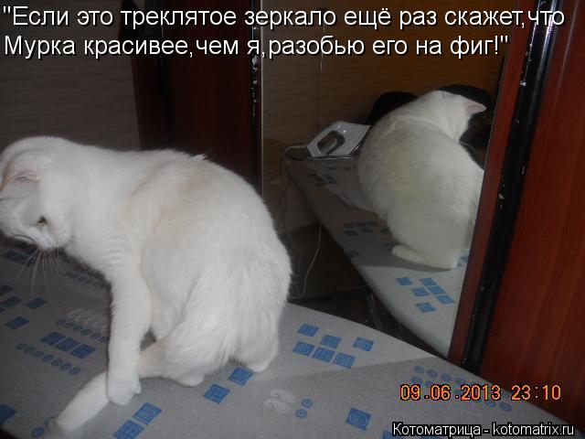 "Если это треклятое зеркало ещё раз скажет,что Мурка красивее,чем я,разобью его на фиг!"... Котоматрица: "Если это треклятое зеркало ещё раз скажет,что Мурка красивее,чем я,разобью его на фиг!"