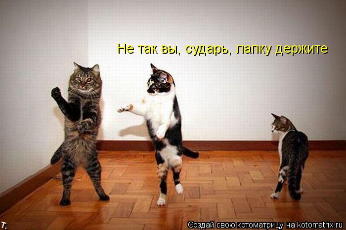 Не так вы, сударь, лапку держите... Котоматрица: Не так вы, сударь, лапку держите