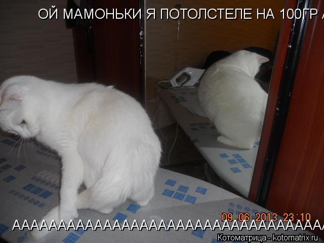ОЙ МАМОНЬКИ Я ПОТОЛСТЕЛЕ НА 100ГР ААААААААААААААААААААААААААААААААААААААА АААААААААААААААААААААААААА... Котоматрица: ОЙ МАМОНЬКИ Я ПОТОЛСТЕЛЕ НА 100ГР ААААААААААААААААААААААААААААААААААААААА ААААААААААААААААААААААААААААААААААААААА