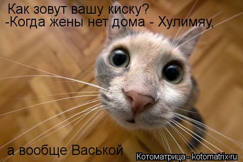 Как зовут вашу киску? а вообще Васькой -Когда жены нет дома - Хулимяу,... Котоматрица: Как зовут вашу киску? а вообще Васькой -Когда жены нет дома - Хулимяу,