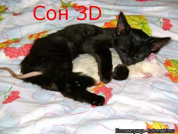 Сон ЗD... Котоматрица: Сон ЗD