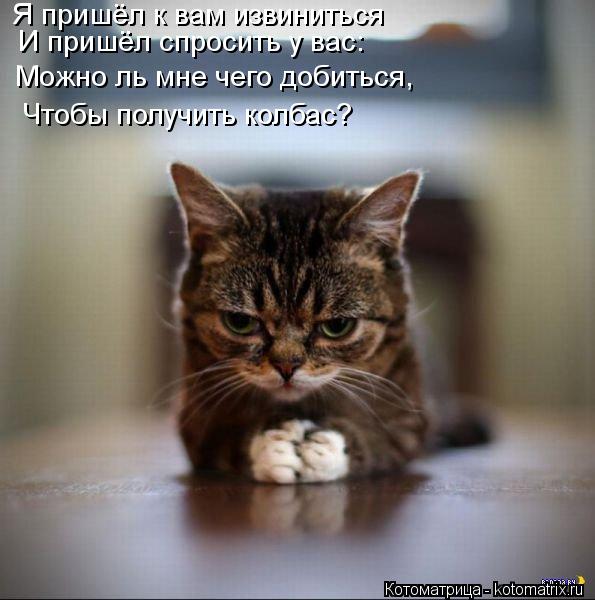 Я пришёл к вам извиниться И пришёл спросить у вас: Можно ль мне чего добиться, Чтобы получить колбас?... Котоматрица: Я пришёл к вам извиниться И пришёл спросить у вас: Можно ль мне чего добиться, Чтобы получить колбас?