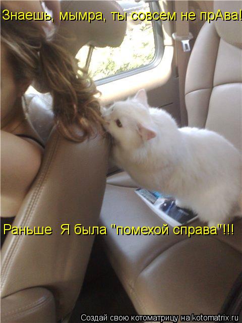 Знаешь, мымра, ты совсем не прАва! Раньше Я была "помехой справа"!!!... Котоматрица: Знаешь, мымра, ты совсем не прАва! Раньше Я была "помехой справа"!!!