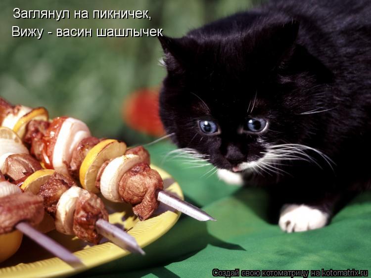 Заглянул на пикничек, Вижу - васин шашлычек... Котоматрица: Заглянул на пикничек, Вижу - васин шашлычек